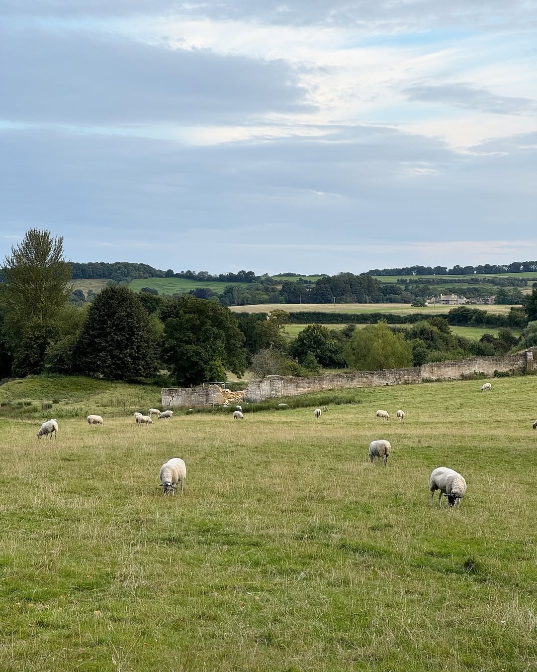 Timeless Finds in the Cotswold Countryside