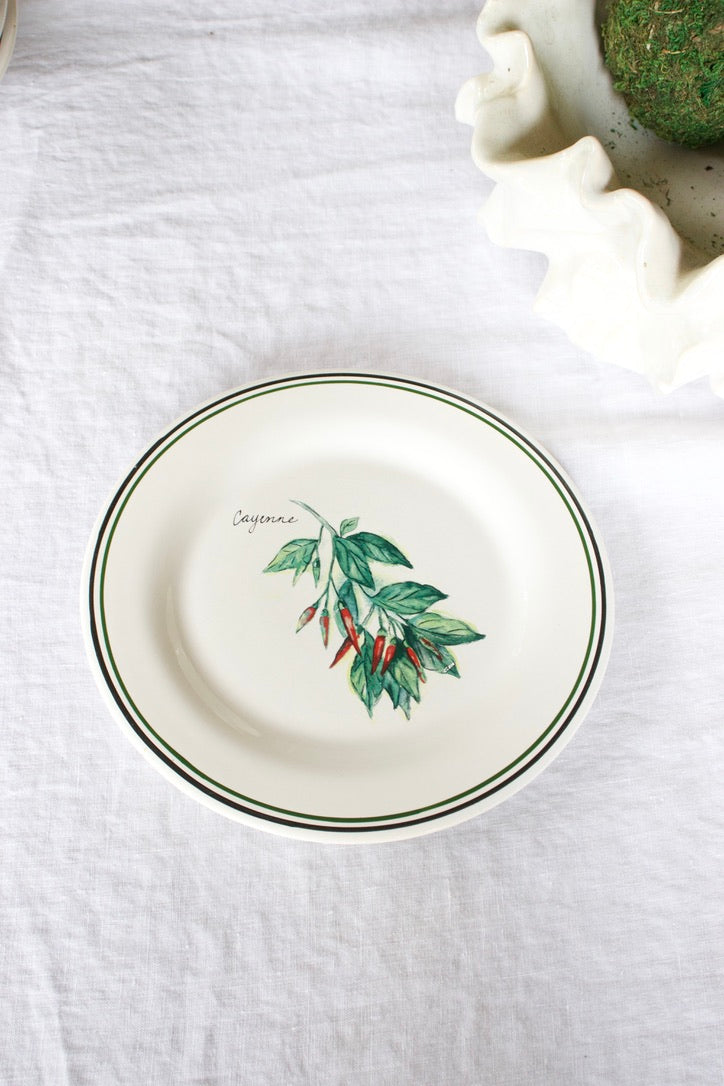 Garden Herb Salad Plates
