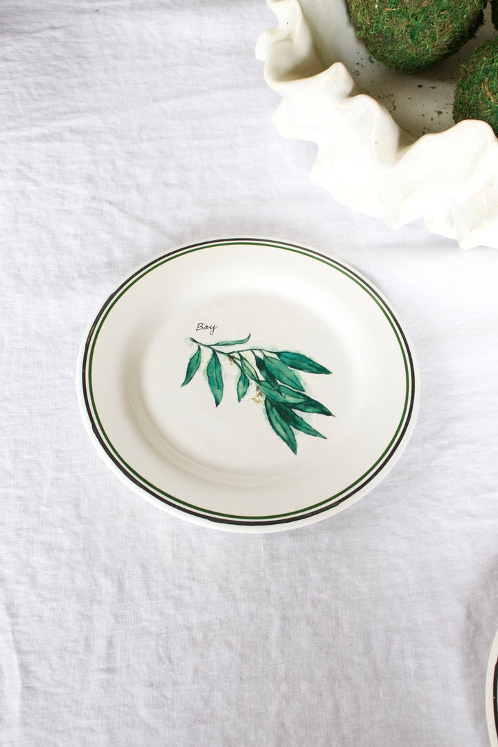 Garden Herb Salad Plates