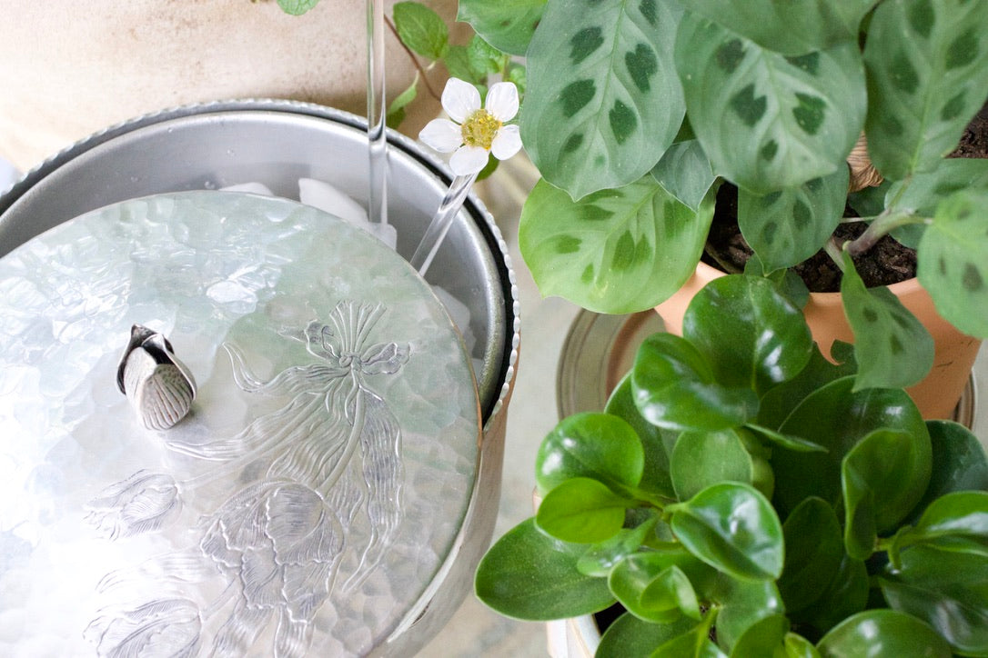 Silver Tulip Ice Bucket