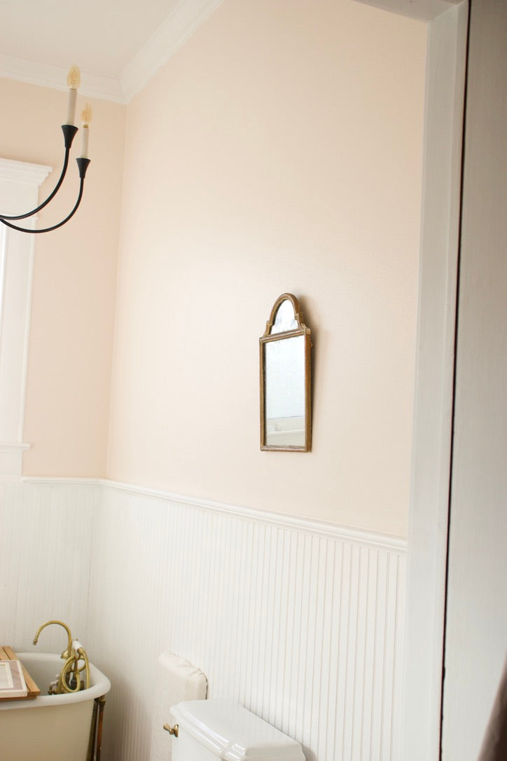 1800's French Antique Giltwood Mirror