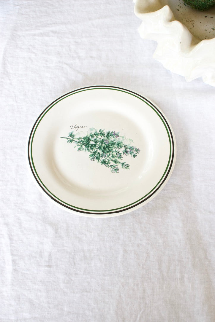 Garden Herb Salad Plates